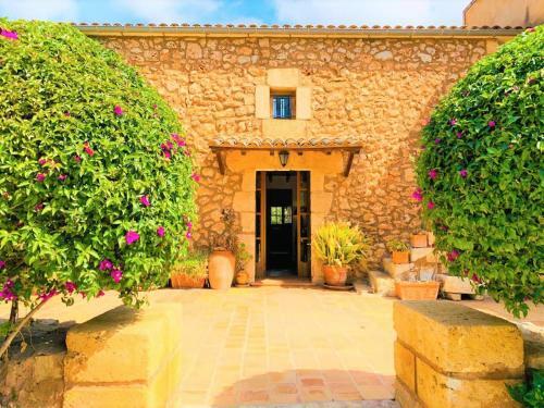 Finca Bosco