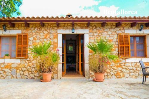 Finca Bosco