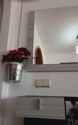 Apartamento Turismo El Mero