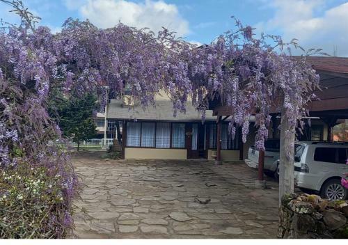 Bella Casa