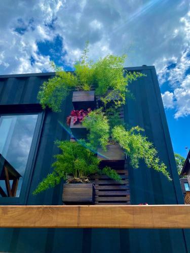 Lodge Tinyhouse Da Floresta