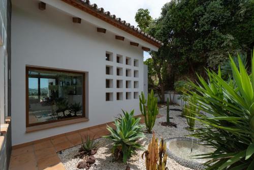 Apartamento Sur Suites Huaraches