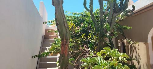 Hostal Les �toiles Du Ksar