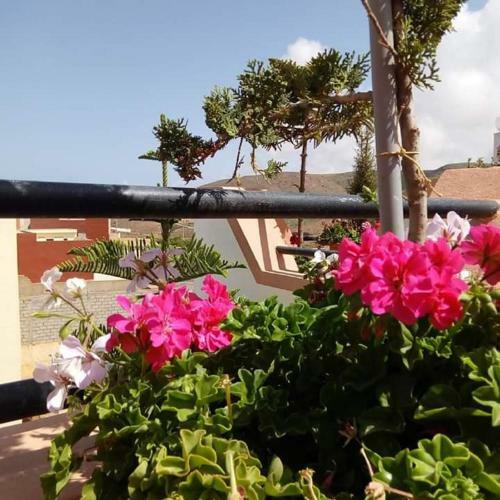 Hostal Itrane Guest House