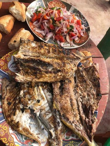 Apartamento Tibougraych Appartement Mirleft