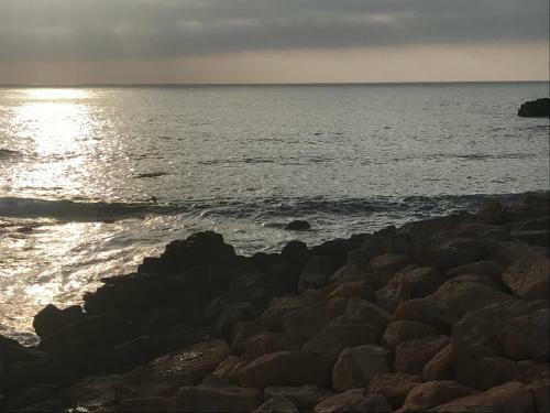 Apartamento My Home Mirelft