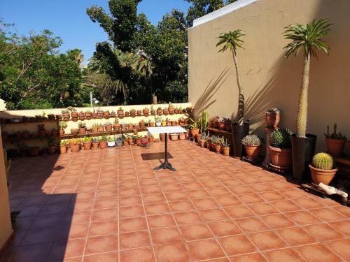 Apartamento �tico 70 Metros De Terraza