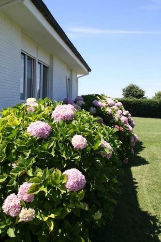 Perfect Chalet For Beach Lovers And Golfers