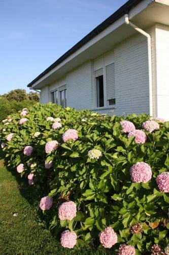 Perfect Chalet For Beach Lovers And Golfers