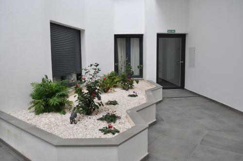 Apartmento En Ventura II