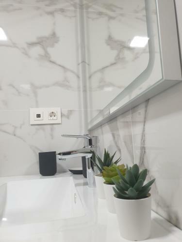 Apartamento Estudio Amalfi
