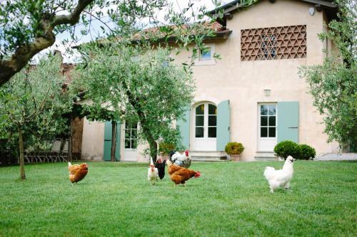 Agroturismo Agriturismo Mareli