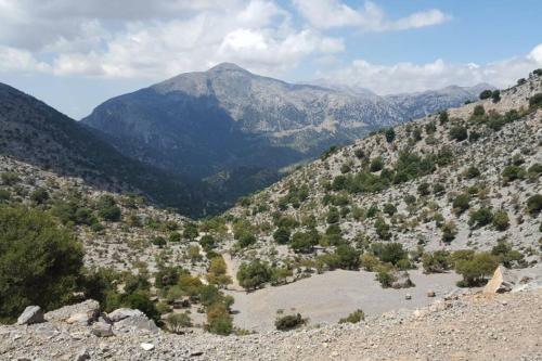Villa Strata (a Path To Psiloritis Mountain)