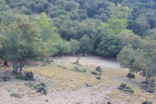 Villa Strata (a Path To Psiloritis Mountain)