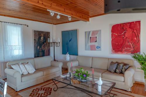 Art Gallery Villa