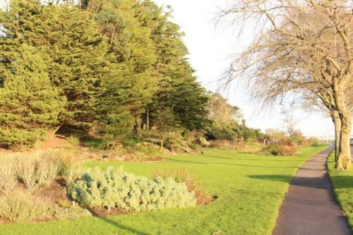 Apartamento ? New Superhost Listing- Broughty Ferry Studio ?