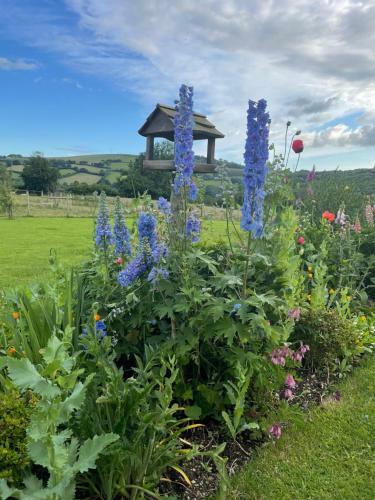 Bed & Breakfast Westerley Country B & B With Exclusive Guest Lounge