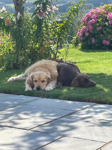 Bed & Breakfast Westerley Country B & B With Exclusive Guest Lounge