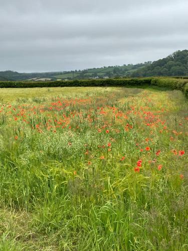Bed & Breakfast Westerley Country B & B With Exclusive Guest Lounge