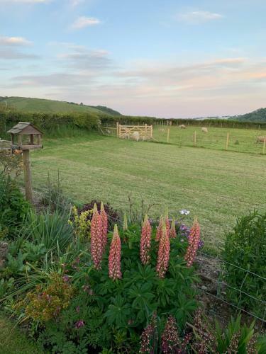 Bed & Breakfast Westerley Country B & B With Exclusive Guest Lounge