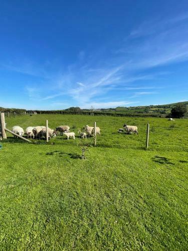 Bed & Breakfast Westerley Country B & B With Exclusive Guest Lounge