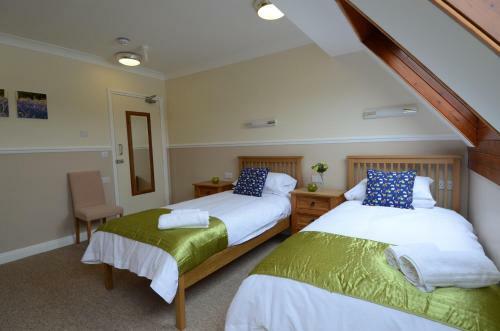 Hotel Neuadd Henllan Lodge