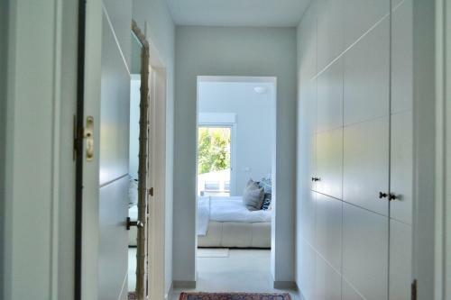 Casa Delfin- Beautiful Villa With Incredible Pool!