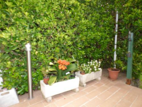 Villa Miguel