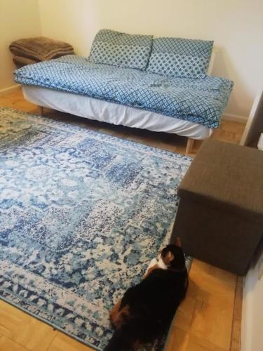 Single Bedroom In A Cozy Maisonette - Bushey