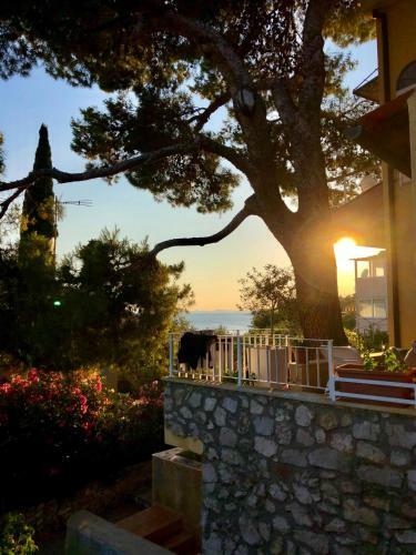 Apartamentos Holiday Home Andrea