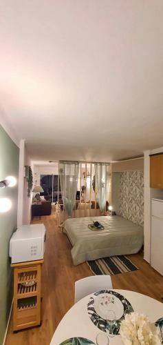Apartamento Grand Studio Bahia Face Mer, Marina D Empuriabrava