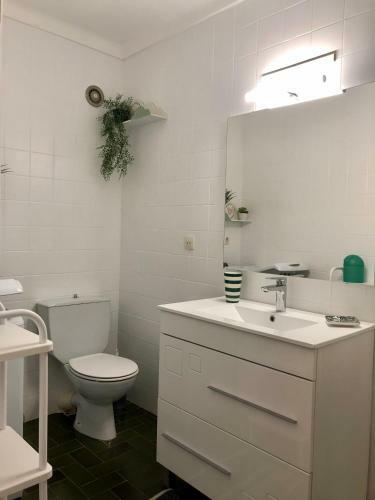 Apartamento Grand Studio Bahia Face Mer, Marina D Empuriabrava