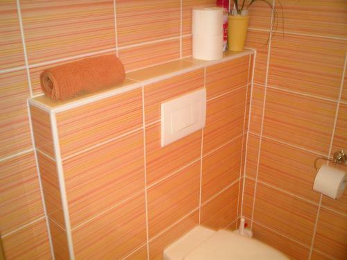 Apartamento Villa Vlajina