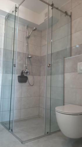 Apartment Aurea