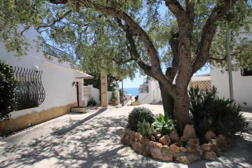 Casas Blancas 4