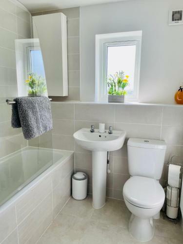 Stunning Newly Modernised Devonshire Cottage With Ev Charging