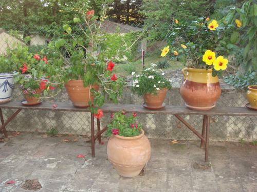 Bed & Breakfast Domaine De Saint Cl�ment