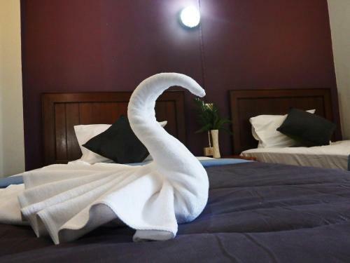 Bed & Breakfast The Tara River