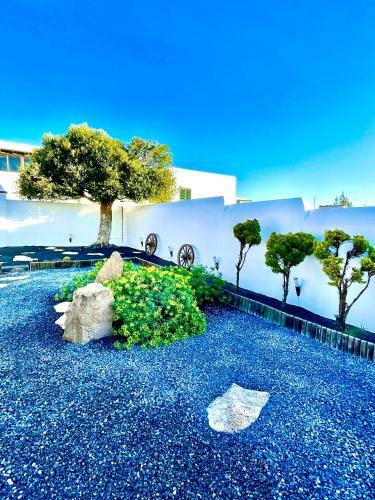 Luxury House Villa De Teguise