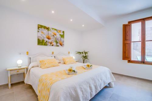 Can Cremat