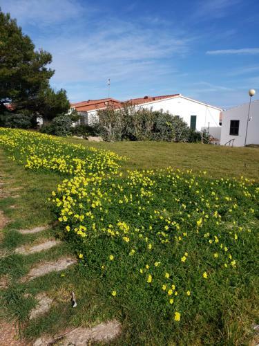 Stunning Sea Views Apartment, Pool, 5 Min Walk To Beach