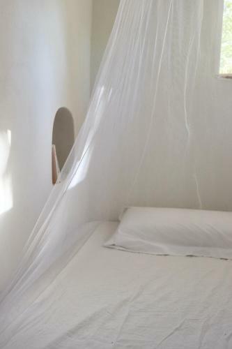 Albergue La Pandilla Ibiza