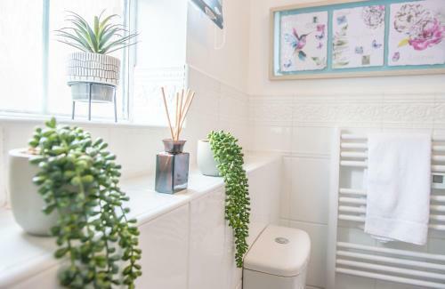Pipkin Place Serviced Apartment Coventry