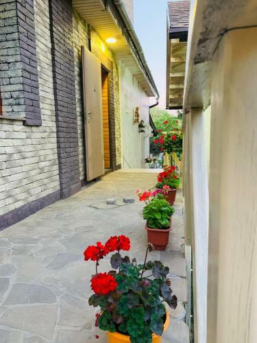 Apartamento Elit
