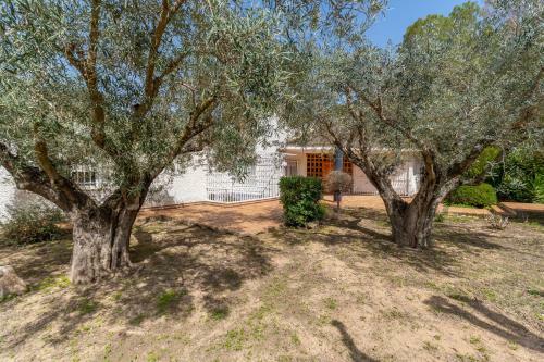 Villa Fidalsa Paradise Pines