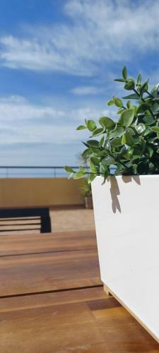 Sunset Apartment Aguadulce