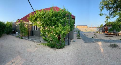 Hostal Azovmore Tut