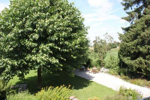 Hotel Brull