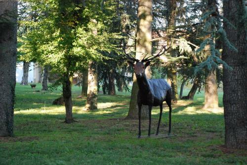 Hotel Ch�teau Talluy