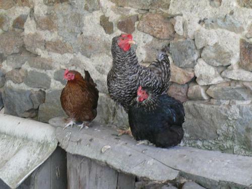 Bed & Breakfast Les Chambres D'helix